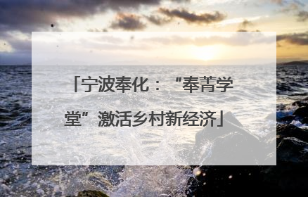 宁波奉化：“奉菁学堂”激活乡村新经济