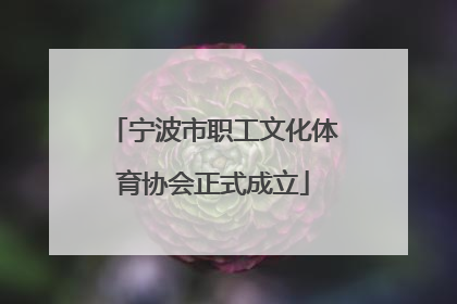 宁波市职工文化体育协会正式成立