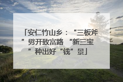 安仁竹山乡：“三板斧”劈开致富路 “新三宝”种出好“钱”景