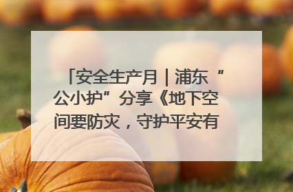 安全生产月｜浦东“公小护”分享《地下空间要防灾，守护平安有我在》安全谣