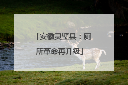 安徽灵璧县：厕所革命再升级