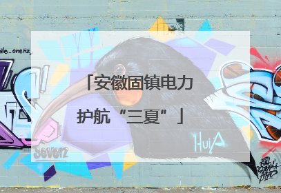 安徽固镇电力护航“三夏”