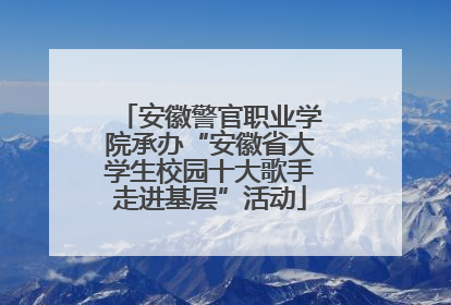 安徽警官职业学院承办“安徽省大学生校园十大歌手走进基层”活动