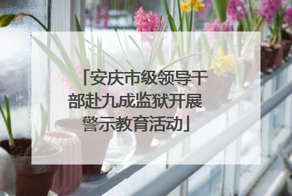 安庆市级领导干部赴九成监狱开展警示教育活动