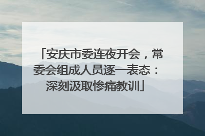 安庆市委连夜开会，常委会组成人员逐一表态：深刻汲取惨痛教训