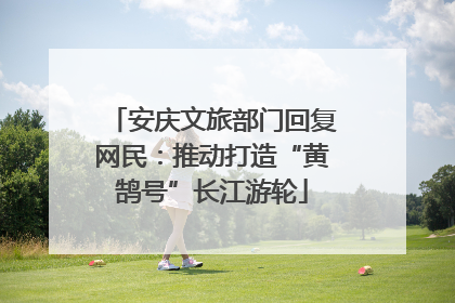安庆文旅部门回复网民：推动打造“黄鹄号”长江游轮