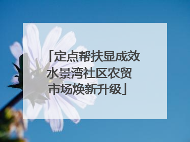定点帮扶显成效 水景湾社区农贸市场焕新升级