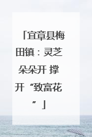 宜章县梅田镇：灵芝朵朵开 撑开“致富花”