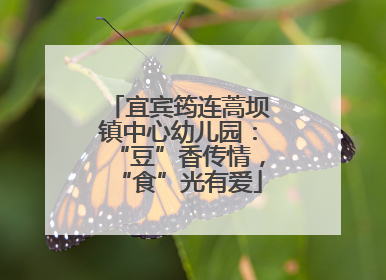 宜宾筠连蒿坝镇中心幼儿园：“豆”香传情，“食”光有爱