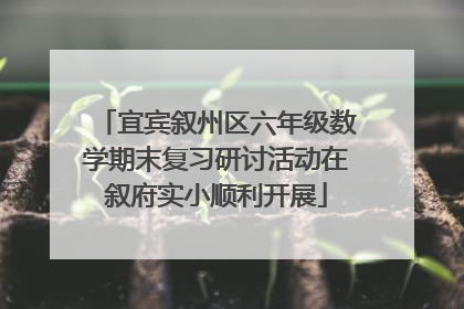 宜宾叙州区六年级数学期末复习研讨活动在叙府实小顺利开展
