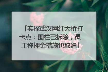 实探武汉网红大桥打卡点：围栏已拆除，员工称押金措施也取消