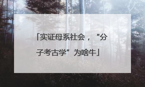 实证母系社会，“分子考古学”为啥牛