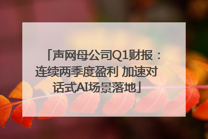 声网母公司Q1财报：连续两季度盈利 加速对话式AI场景落地