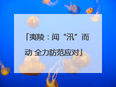 夷陵：闻“汛”而动 全力防范应对