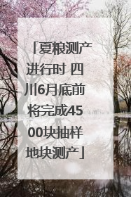 夏粮测产进行时 四川6月底前将完成4500块抽样地块测产