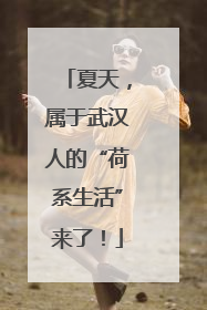 夏天，属于武汉人的“荷系生活”来了！