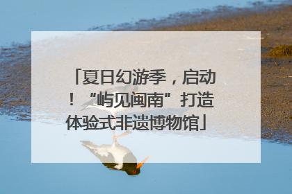夏日幻游季，启动！“屿见闽南”打造体验式非遗博物馆