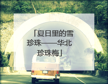 夏日里的雪珍珠——华北珍珠梅
