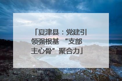 夏津县：党建引领强根基 “支部主心骨”聚合力