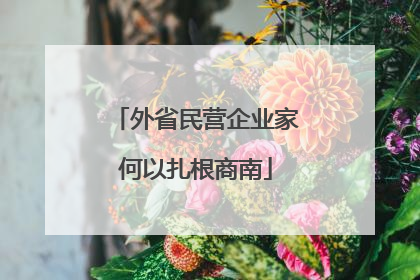 外省民营企业家何以扎根商南