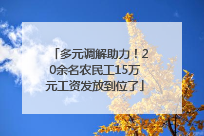 多元调解助力！20余名农民工15万元工资发放到位了