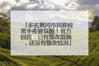 多名黄冈市民称经常半夜被臭醒！官方回应：已有整改措施，还没有整改情况