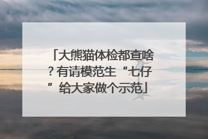 大熊猫体检都查啥？有请模范生“七仔”给大家做个示范