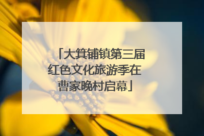 大箕铺镇第三届红色文化旅游季在曹家晚村启幕