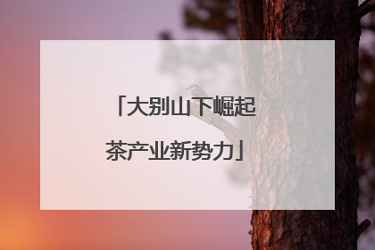 大别山下崛起茶产业新势力