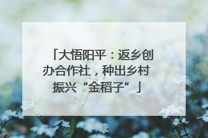 大悟阳平：返乡创办合作社，种出乡村振兴“金稻子”