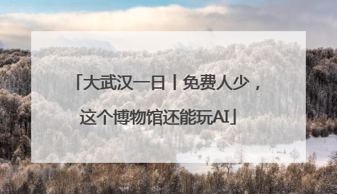 大武汉一日丨免费人少，这个博物馆还能玩AI