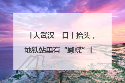 大武汉一日丨抬头，地铁站里有“蝴蝶”