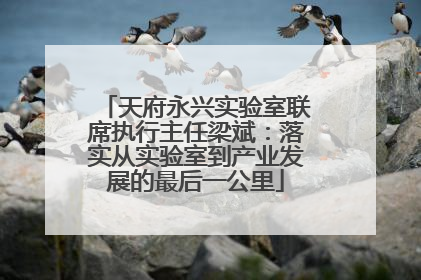 天府永兴实验室联席执行主任梁斌：落实从实验室到产业发展的最后一公里