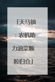 天马镇：农机助力油菜颗粒归仓