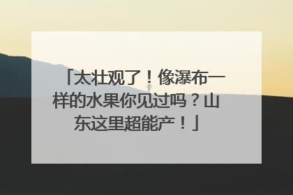 太壮观了！像瀑布一样的水果你见过吗？山东这里超能产！