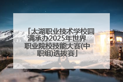 太湖职业技术学校圆满承办2025年世界职业院校技能大赛(中职组)选拔赛