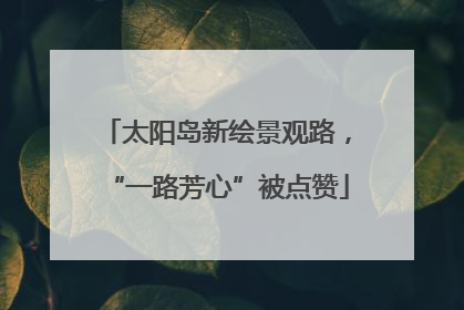 太阳岛新绘景观路，“一路芳心”被点赞