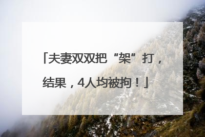夫妻双双把“架”打，结果，4人均被拘！