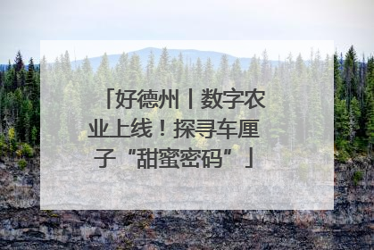 好德州丨数字农业上线！探寻车厘子“甜蜜密码”