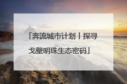 奔流城市计划丨探寻戈壁明珠生态密码