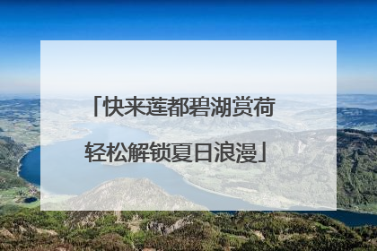 快来莲都碧湖赏荷 轻松解锁夏日浪漫