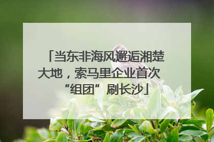 当东非海风邂逅湘楚大地，索马里企业首次“组团”刷长沙