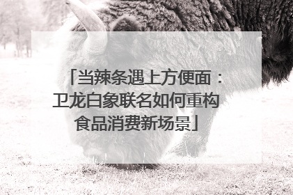 当辣条遇上方便面：卫龙白象联名如何重构食品消费新场景