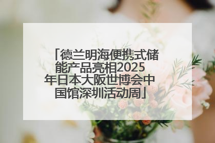 德兰明海便携式储能产品亮相2025年日本大阪世博会中国馆深圳活动周