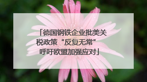 德国钢铁企业批美关税政策“反复无常” 呼吁欧盟加强应对