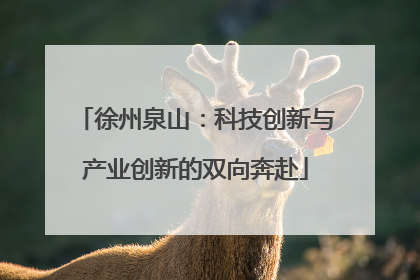 徐州泉山：科技创新与产业创新的双向奔赴