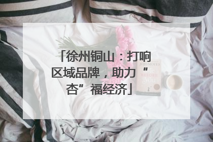 徐州铜山：打响区域品牌，助力“杏”福经济