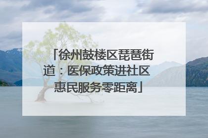 徐州鼓楼区琵琶街道：医保政策进社区 惠民服务零距离