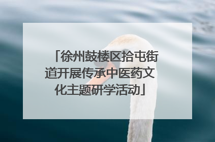 徐州鼓楼区拾屯街道开展传承中医药文化主题研学活动