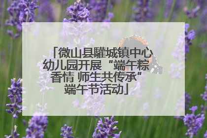 微山县驩城镇中心幼儿园开展“端午粽香情 师生共传承”端午节活动